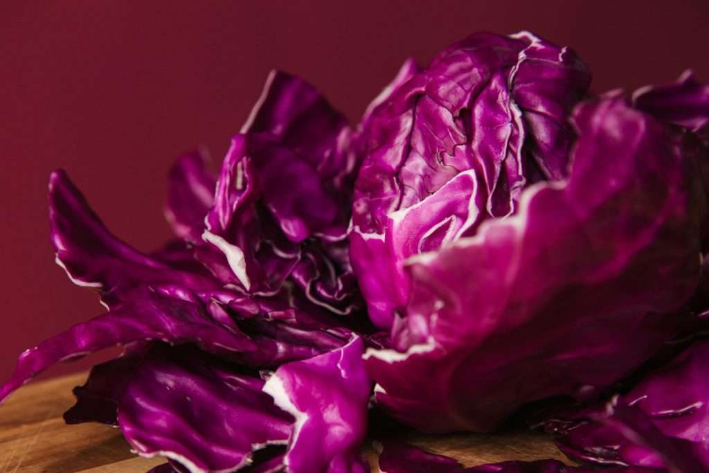 cavolo rosso