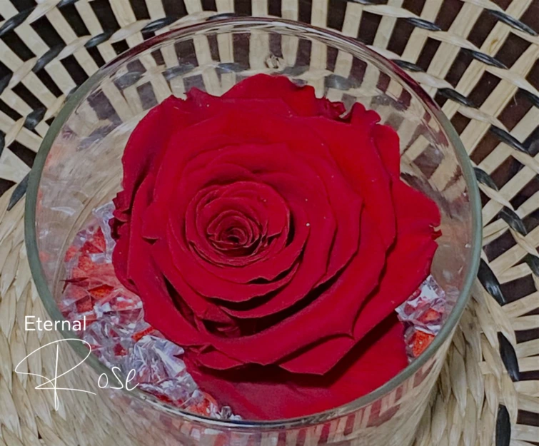 a red rose in a glass